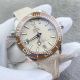 vsf replica omega Planet Ocean 600M beige dial brown bezel watch  (2)_th.jpg